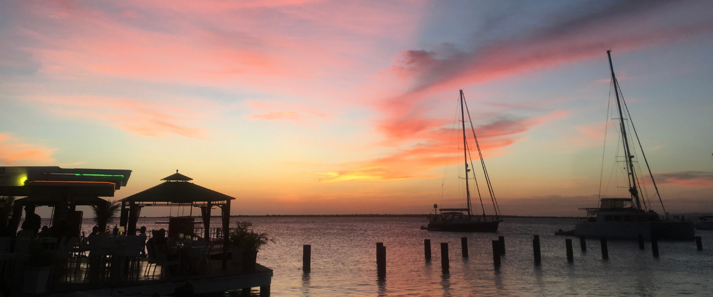 Read our latest publications