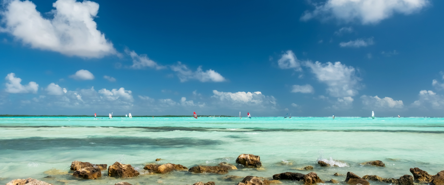 Read our latest publications